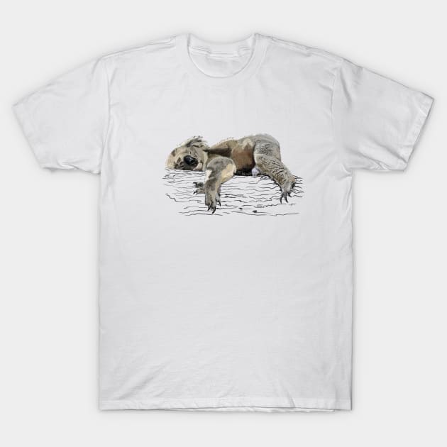Koala T-Shirt by sibosssr